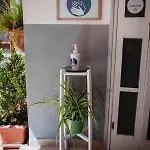 Casa Lena Alojamento de Acomodação e Pequeno-almoço